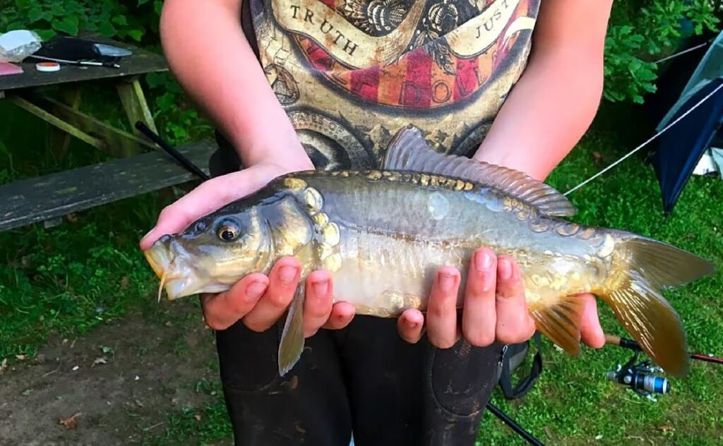 carp fishing at Epworth Fields