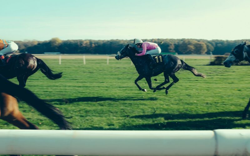 Horse Racing near Epworth Fields